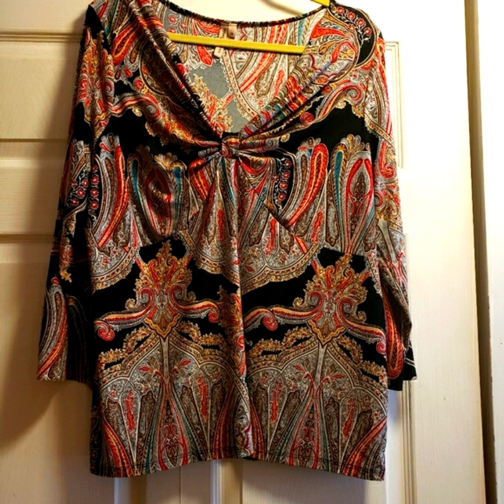 🌼Susan Lawrence top